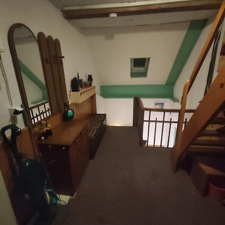Kleine Gemuetliche Wohnung Zwickau Kültér fotó
