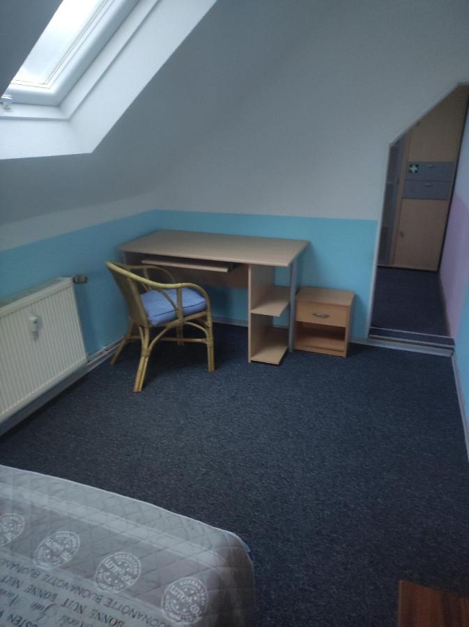 Kleine Gemuetliche Wohnung Zwickau Kültér fotó